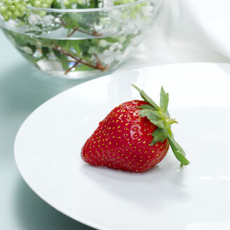 Erdbeere auf Teller, Nahaufnahme - CHK00547