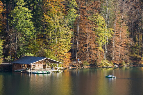 Deutschland, Bayern, Seeblick - FOF00385