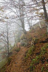 Deutschland, Bayern, Allgäu, Weg zur Marienbrücke im Herbst - FO00434