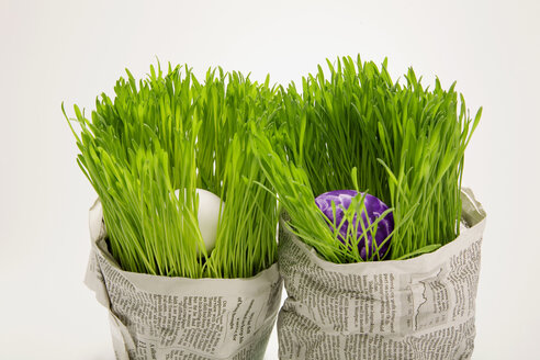 Easter eggs in grass, wrapped wrapped in newspaper, close-up - MNF00143
