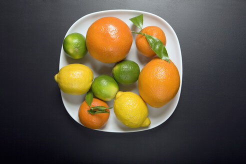 Citrus fruits on plate, elevated view - MNF00127