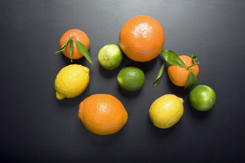 Citrus fruits, elevated view - MNF00126