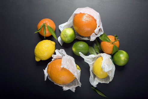 Citrus fruits, elevated view - MNF00125