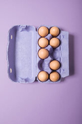 Brown eggs in violet egg carton, elevated view - MNF00111