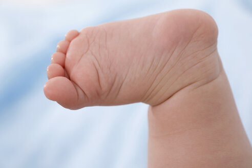 Baby's foot, low section (3-6 months), close-up - SMOF00116