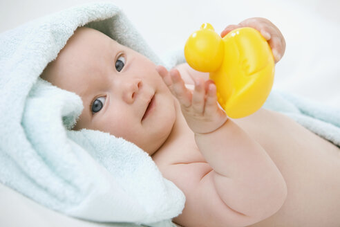 Baby boy (6-9 months) portrait - SMOF00113