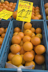 Oranges on market stall - MUF00070