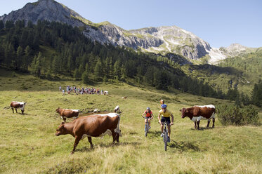 Austria, Salzburger Land, Young couple riding mountain bike - HHF01732