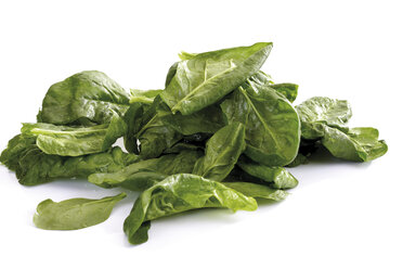 Fresh spinach leaves - 08173CS-U