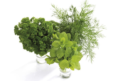 Lemon balm (Melissa officinalis) curley parsley (Petroselinum crispum) and dill, elevated view - 08164CS-U