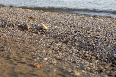 Germany, Lake Constance, Immenstaad, Pebbles on the lakefront - SMF00318