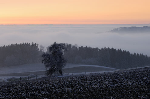 Germany, Baden-Württemberg, Deggenhausertal with afterglow and fog - SMF00304