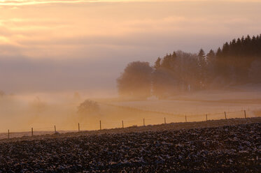 Germany, Deggenhausertal, fog over fields - SMF00303