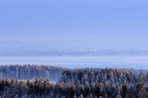 Deutschland, Baden-Württemberg, Deggenhausertal , Winterlandschaft - SMF00301