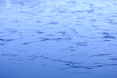 Deutschland, Salem, Teich mit gefrorener Oberfläche - SMF00295