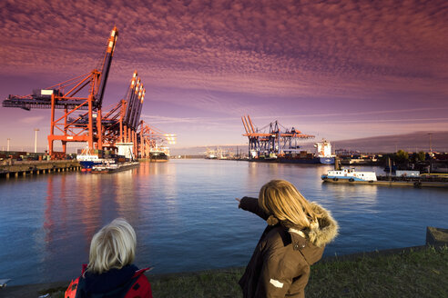 Deutschland, Hamburg, Waltershof, Containerterminal mit Schiffen - SEF00046