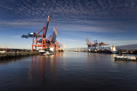 Deutschland, Hamburg, Waltershof, Containerterminal mit Schiffen, lizenzfreies Stockfoto