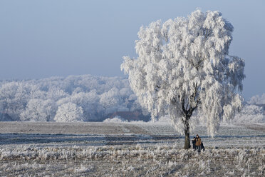 Deutschland, Niedersachsen, Vahrendorf, Winterlandschaft, stehende Menschen - SEF00028