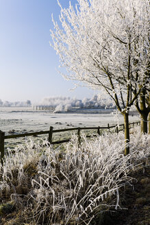 Deutschland, Niedersachsen, Vahrendorf, Winterlandschaft - SEF00024