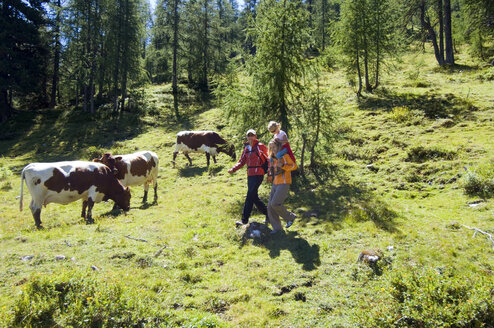 Austria, Salzburger Land, couple with daughter (6-7) hiking - HHF01914
