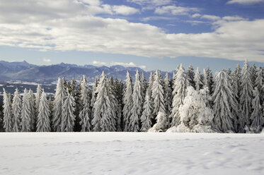 Deutschland, Winterlandschaft - EKF00939