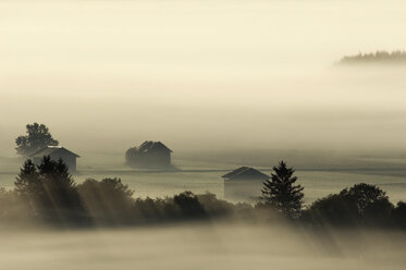 Deutschland, Bayern, Landschaft im Morgennebel - EKF00933