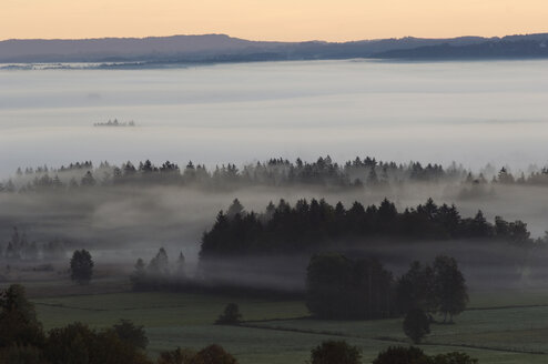 Germany, Bavaria, Landscape in morning mist - EKF00932