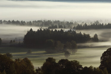 Deutschland, Landschaft im Nebel - EKF00919