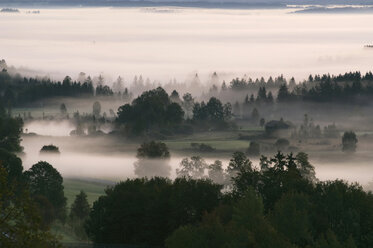 Deutschland, Landschaft im Nebel - EKF00918