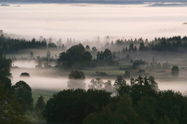 Germany, Landscape in mist - EKF00918