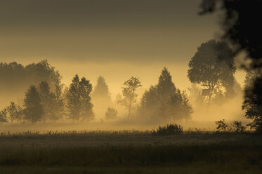 Germany, Landscape in mist - EKF00917