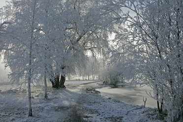 Germany, Bavaria, Murnau, Lake in winter - FOF00510