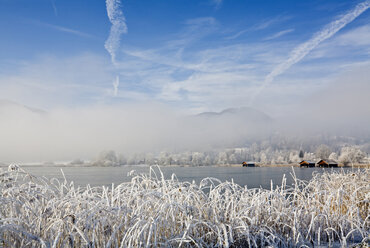 Deutschland, Bayern, See im Winter - FOF00497