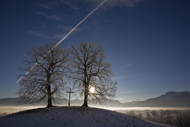 Germany, Bavaria, Murnau, Cross between trees - FOF00485