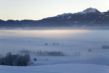 Deutschland, Bayern, Murnau, Nebellandschaft - FOF00479