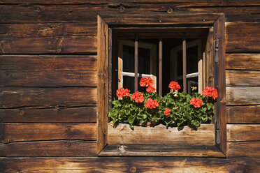 Österreich, Tirol, Karwendel, Fenster mit Blumenkasten - FOF00617