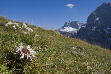 Austria, Tirol, Karwendel, Landscape - FOF00606