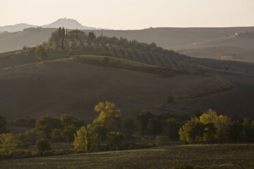 Italy, Tuscany, Landscape - FOF00556