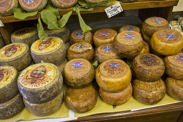 Italien, Toskana, Verschiedene Käsesorten im Käseladen - FOF00541