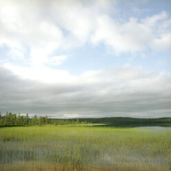 Finland, Hossa National Park, Lake under cloudy sky - PM00522