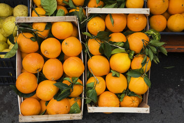 Orangen in Kisten, Marktstand, Blick von oben - GWF00585