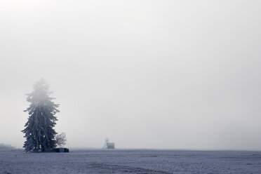 Deutschland, Bayern, Murnau, Misty landsxape - FOF00650