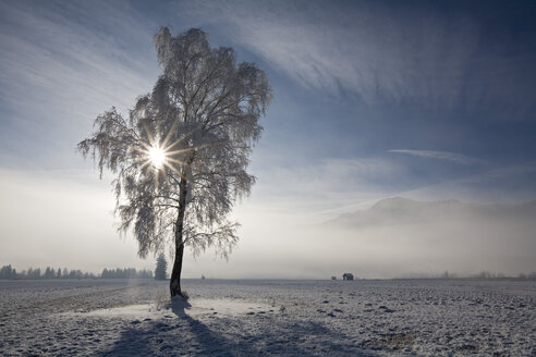 Deutschland, Bayern, Murnau, Winterlandschaft - FOF00649