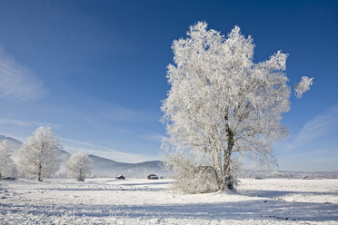 Deutschland, Bayern, Murnau, Winterlandschaft - FOF00648