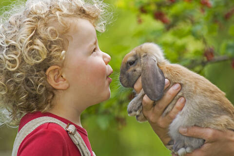 Blondes Mädchen (4-5) mit lockigem Haar hält Kaninchen, Porträt, lizenzfreies Stockfoto