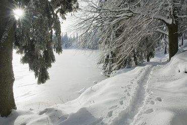 Germany, Black forest, Mummelsee, Winter scenery - SHF00206