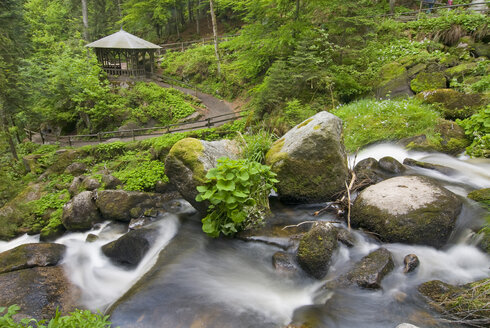 Deutschland, Schwarzwald, Triberg, Wasserfall - SHF00175