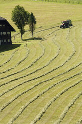 Austria, Salzburger Land, Hayharvest - HHF02158