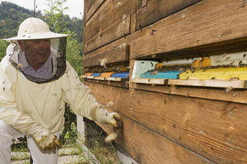 Österreich, Imker vor einem Bienenstock, lizenzfreies Stockfoto