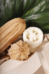 Wellness, Luffa-Produkte - 00397LR-U